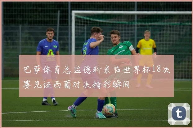 巴萨体育总监德科亲临世界杯18决赛见证西葡对决精彩瞬间