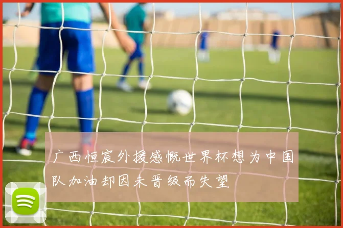 广西恒宸外援感慨世界杯想为中国队加油却因未晋级而失望